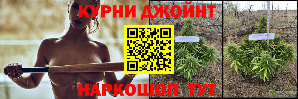 Шишки марихуана индика  Вход с VPN  МАРИХУАНА VHQ  Алейск  Конопля Bruce Banner 